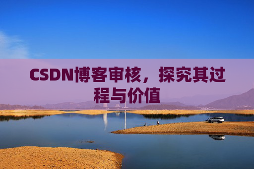 CSDN博客审核,探究其过程与价值